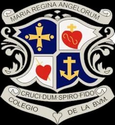 Irlandesas