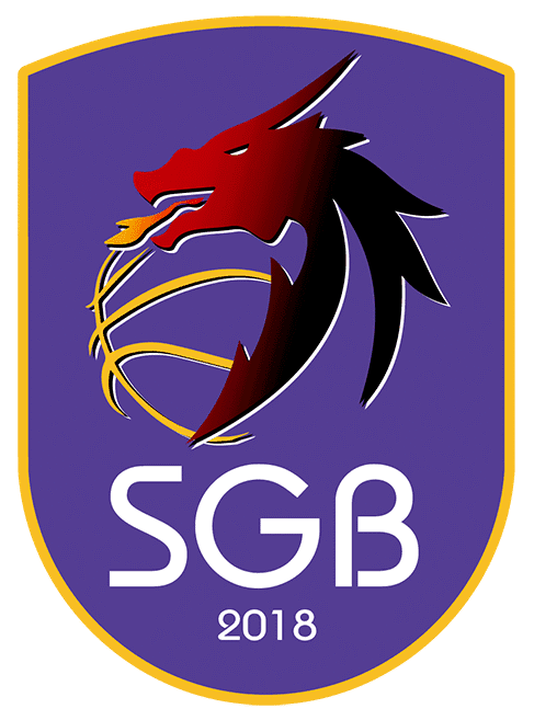 TucuTucu Singer Basket